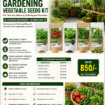 Gardening Vegetable Seeds Kit