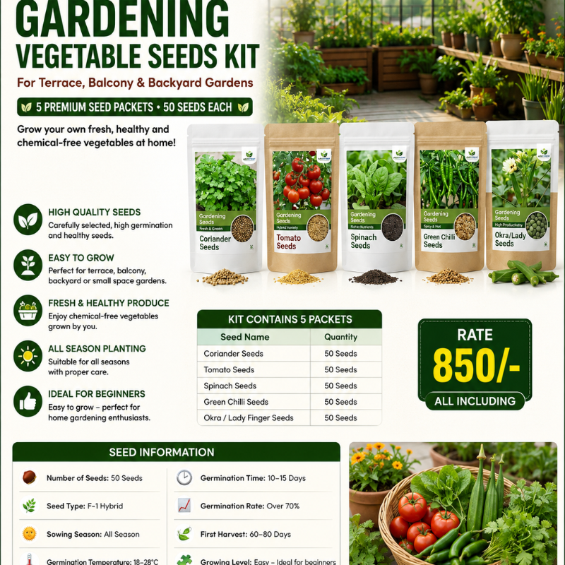 Gardening Vegetable Seeds Kit