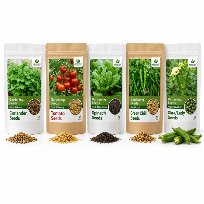 Gardening Vegetable Seeds Kit - Image 2
